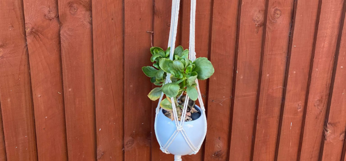 An image of a plant pot hanging inside a macrame holder against a brown fence.