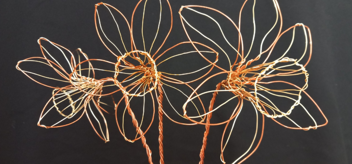 Three golden wire daffodils are photographed against a black background