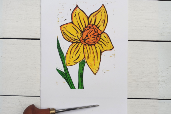 A lino printed daffodil on a white backdrop