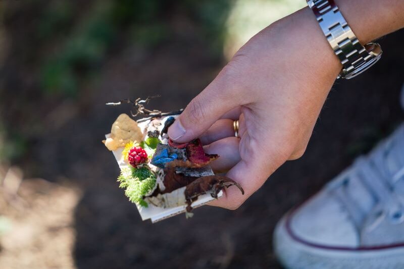 A hand holds a small square covered in colourful found items, carefully assembled. Flowers, sticks and a raspberry.