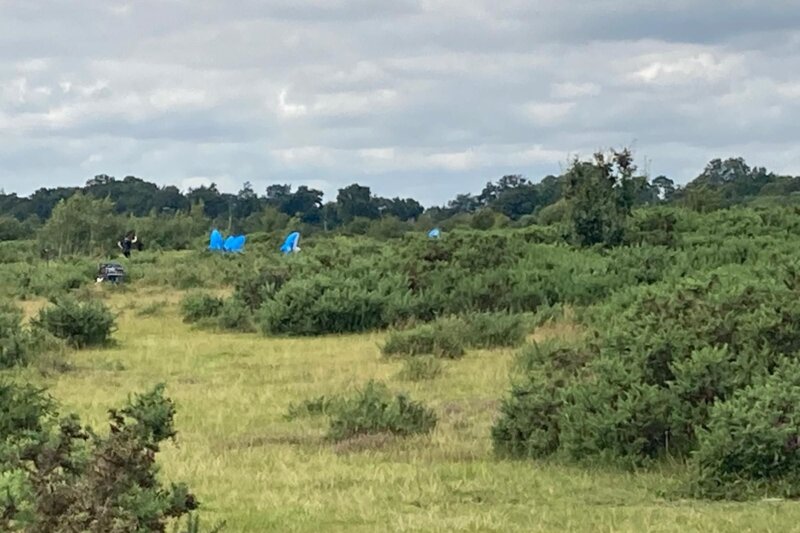 2 people in dolphin costumes run around on Greenham common amongst the bushes