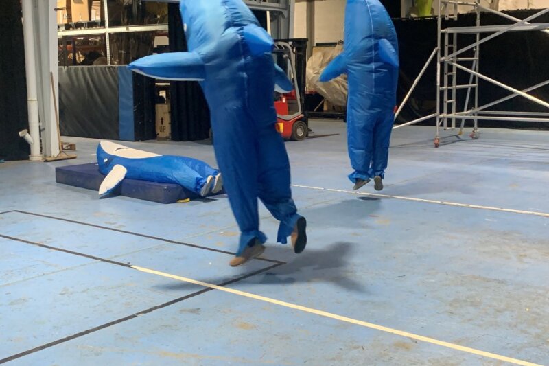 Two people in dolphin costumes jump while another lies on the crash mat