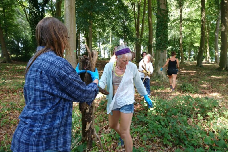 Volunteers setting up in the woods, wearing gloves, pushing a pole into the ground.